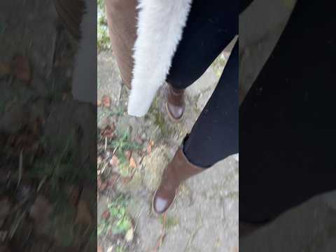 ASMR im gefrorenen Gras und es knackt sehr schön. 😻