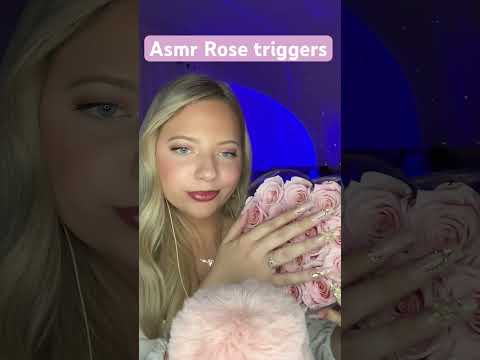 Asmr with Roses 🌹 #tingles #asmrtriggers #asmr