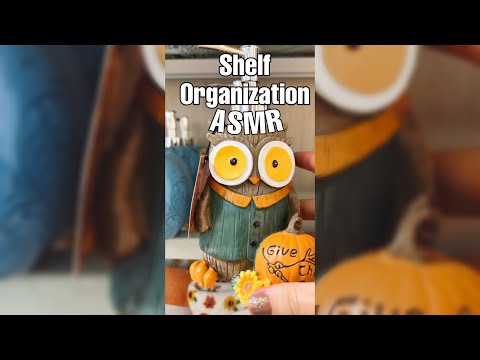 Organizing Shelf at HomeGoods *ASMR