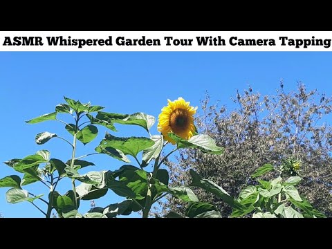 ASMR Garden Tour(Whispered)