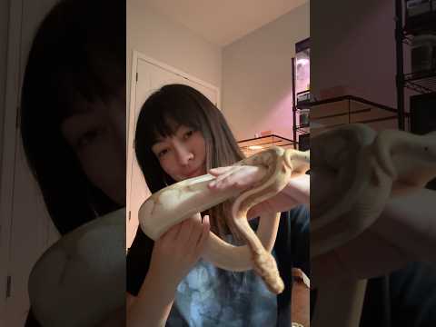 reptile ASMR #sleep #reptiles #relax #mouthsounds #handmovements