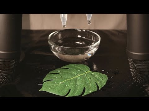 ASMR Water Drop Sounds for 2 Hours (Sleep, Study)
