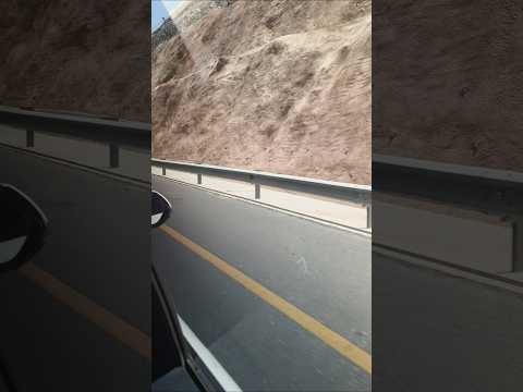 #viral #shorts #insects #travel