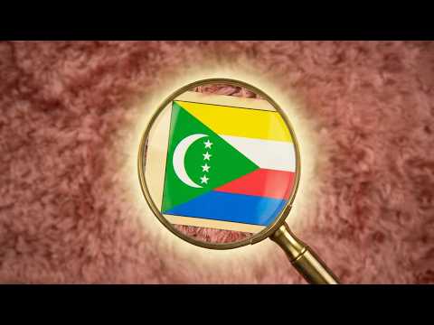 Can You Guess Every Flag? | Eyes Closed ASMR