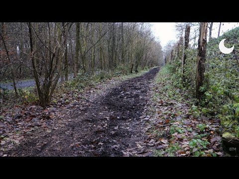 ASMR - Nature sounds - Forest and lake - No talking