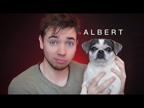 ASMR : C'EST MOI J’AI VOLÉ ALBERT ….