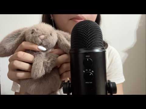 asmr unprofessional life update (living situation, classes, custom vids)