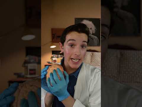 ASMR Young Sheldon Lobotomizes You