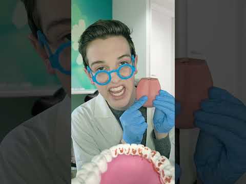 ASMR Jersey Dentist Cleans Your Teeth #asmr #frutigeraero #dentist