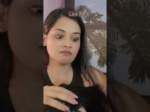 ASMR - you have lice 🕷️
