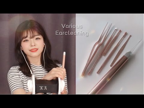 [ASMR] ✨ Various Ear Cleaning 잠이오는 종류별 귀청소│귀지가 걸리는 자극적인 소리