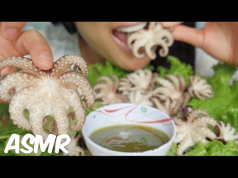 ASMR BABY OCTOPUS (CHEWY EATING SOUNDS) NO TALKING | SAS-ASMR