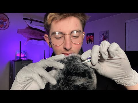 ASMR Lice Check and Plucking
