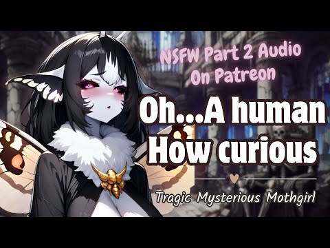 🖤 You Found A Moth Girl In A Cursed Castle [F4M] [Monster Girl] [Tragic] [Mystery] [ASMR RP] [Audio]