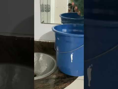 Isso aqui tá o ó do borogodó
