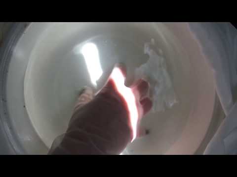 Silk OPERA Gloves  WET  HANDS BLACK NAILS [[ASMR]]