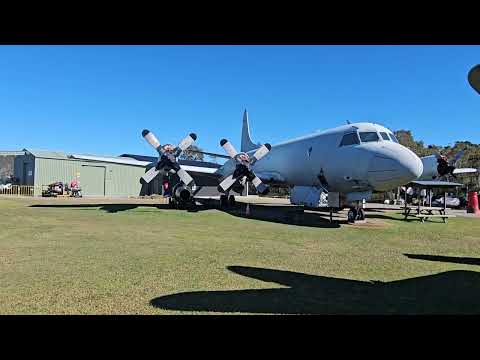 A Little Sneak Peak Private Tour of QAM. 🛩🚁@LISASRELAXINGASMR-pb1gb 