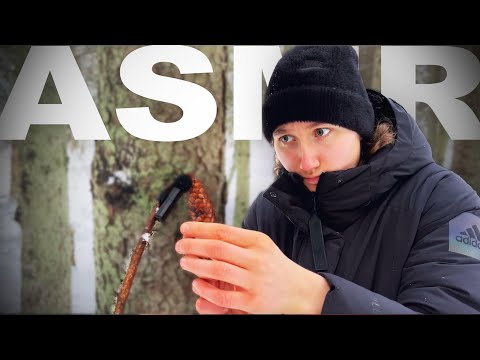 ASMR in the forest (With Family)