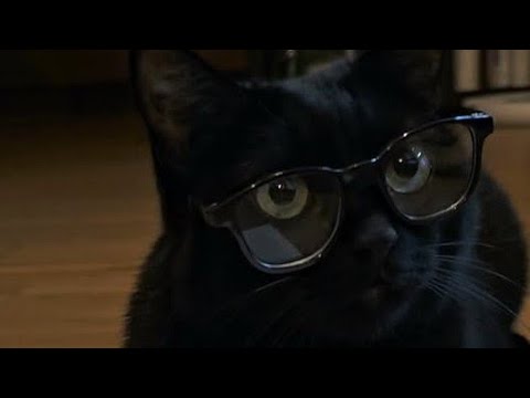 asmr random tapping