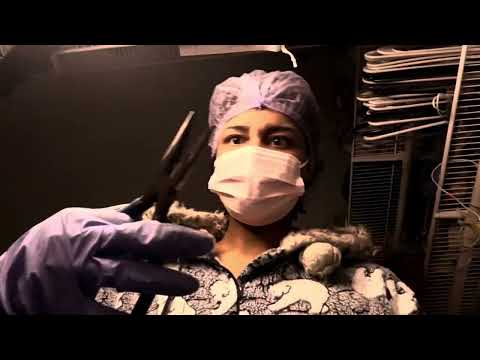 ASMR - Harvesting Your Organs On Accident (Kaylen)