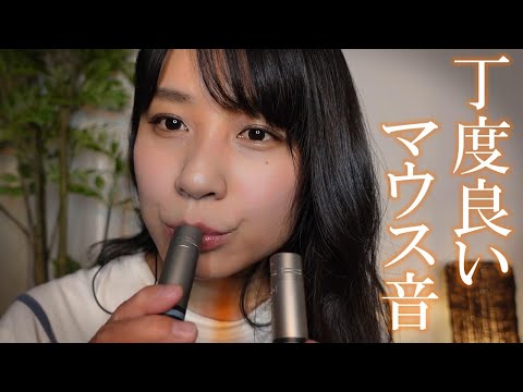 ASMR 私のマウスサウンドはゾクゾクするかな？