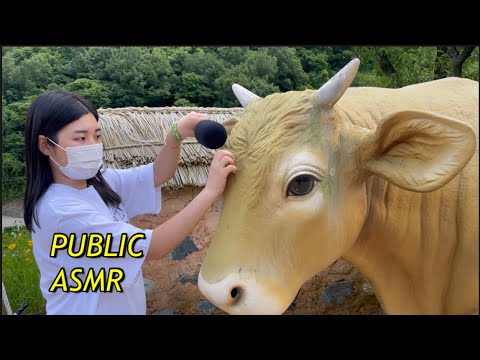 ASMR IN THE KOREA TRADITIONAL PARK (PUBLIC)