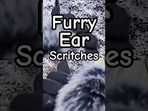 Furry Ear Scratching #asmr #relax #binaural #scratching #3dio
