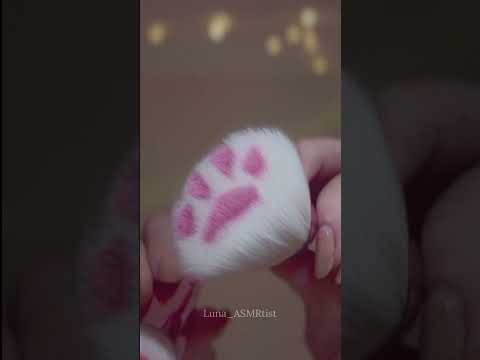 ASMR Does the sound of a cat's purring make you feel calm?🐱 #shorts #tingly #asmrtriggers
