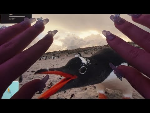 [ASMR - Whisper] Exploring Google Maps 🧐🌎 