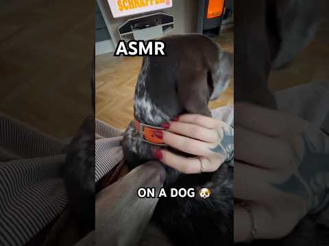 #asmrsounds #relax #asmr #relaxing #asmrcommunity #satisfying #dog #dogshorts #tingles