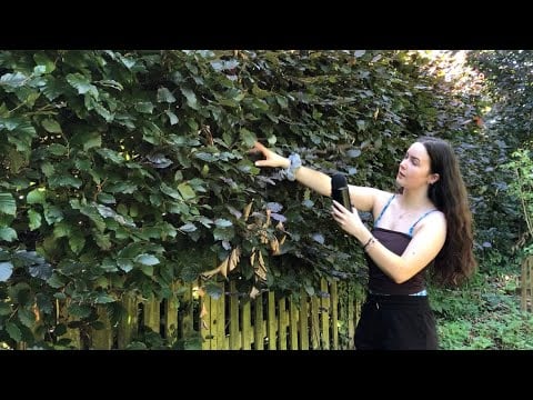 ASMR Outdoors with nature sounds🍃🌳