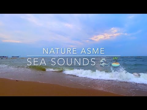 ASMR NATURE (sea sounds 🌊🏝️)help you sleep