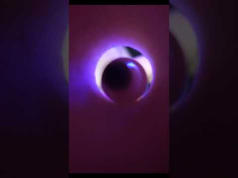 ASMR Você gosta ou sente agonia com esse gatilho?