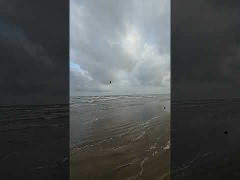 Soothing Beach Sounds! #short