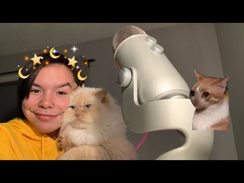 ASMR meet my cat 🐱🥰💛