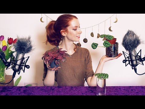 🌱 Propagating My House Plants 🍃 [Soft Spoken ASMR]