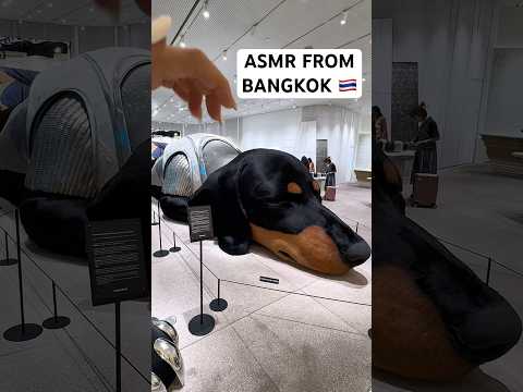 The ICONSIAM shopping mall 😍 #asmr #bangkok #thailand #relaxing