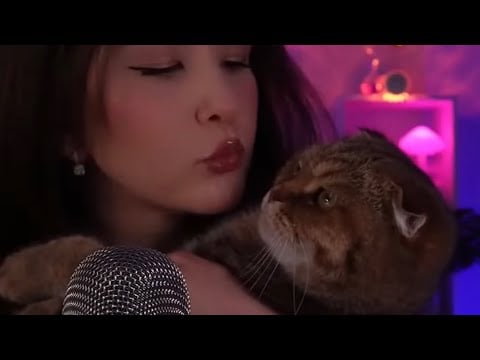 ASMR АнтиСтресс от кошек Relax #asmrlive #asmrstream 