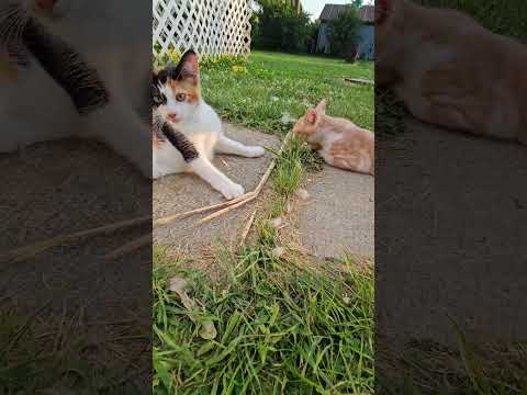 Jaydyn and Spooks