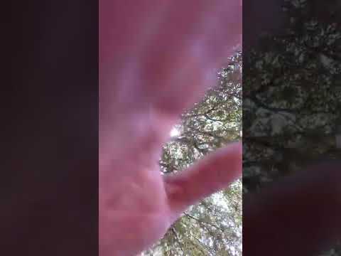 ASMR | Visual triggers [ OUTSIDE ] ￼ Nature Ambience￼ [ Soothing ]