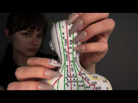 Scratches + Massage on Acupuncture Doll (Placebo Massage) [ASMR ]