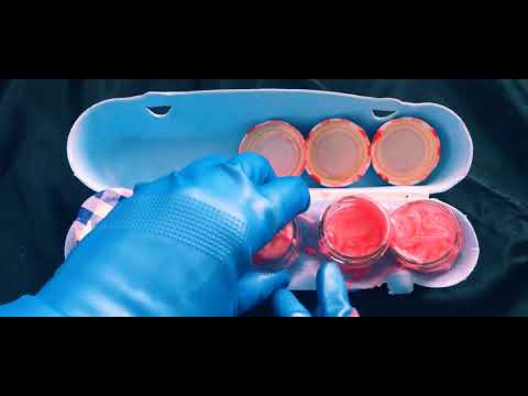 RUBBER GLOVES🐾🐖 making a MESS🐷 and Silly Sounds💩🐽🐾 [[ASMR]]