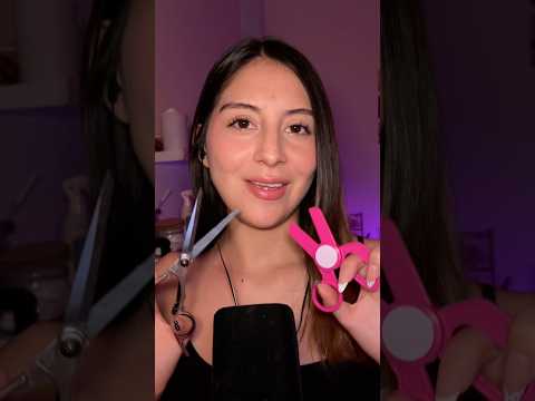 CUÁL TU FAVORITA ? ✅ #asmrcommunity #asmrvideo