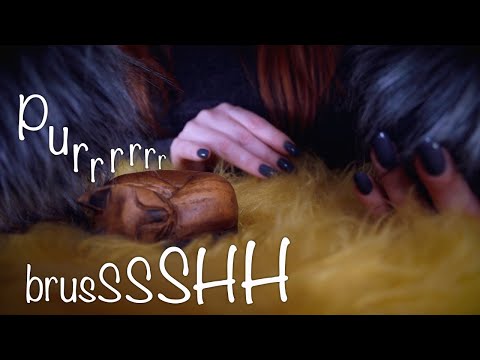 Fluffing U2 Sleep 💤 No Talking ASMR 💤 Brushing, Fabric, Purring