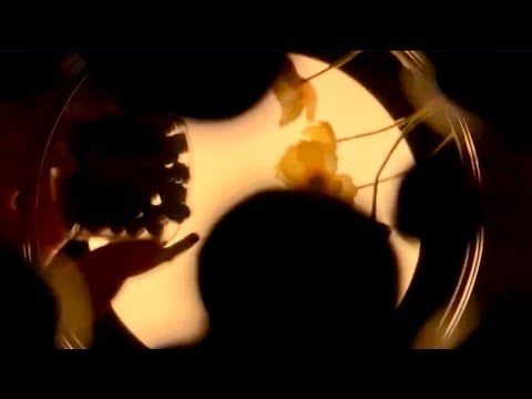 ASMR Brain Melting Deep Triggers for Sleep💤
