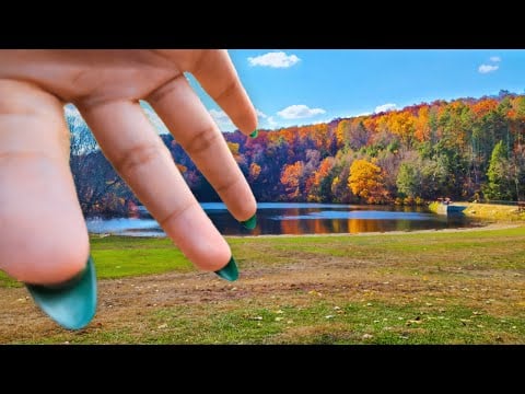 Public ASMR🍁Fall Outdoors Camera Tapping (Lofi)