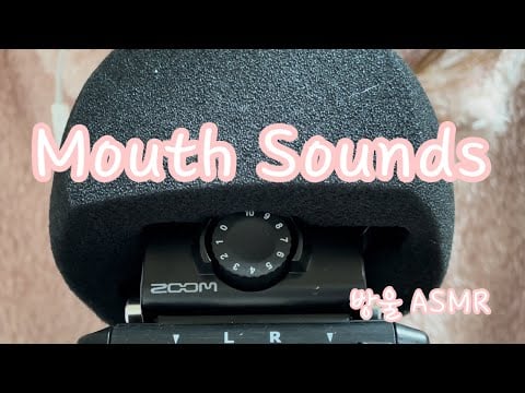 [ASMR] (No Talking) Mouth Sounds | 🗣입소리는 아주 처음이라.. 🍪