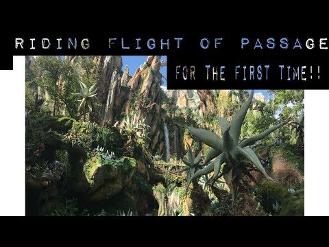 riding flights of passage for the first time // dcp spring 2019