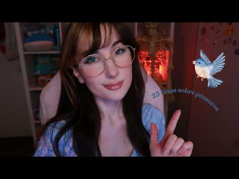 asmr sussurrando 25 curiosidades sobre pássaros 🐦