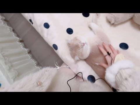 Nail Tapping on Adorable Stuffed Animals | ASMR for Instant Relaxation